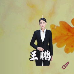 王鹏